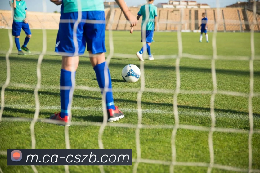 App Interface Preview